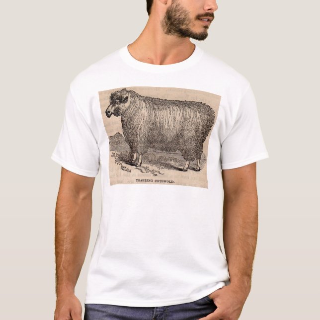 Printjarling Cotswold Schafe aus dem 19. Jahrhunde T-Shirt (Vorderseite)