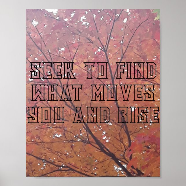 Printmedien, Werteplakat (Matte) Poster (Vorne)