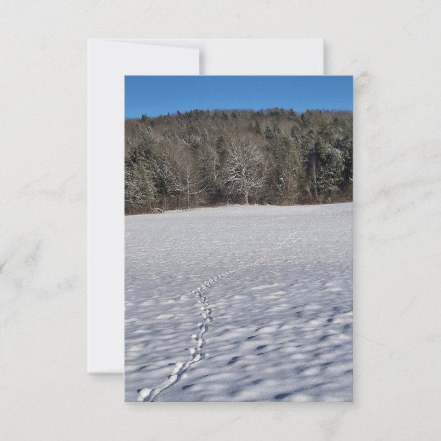 Prints in a snowy field Note Card Mitteilungskarte (Vorderseite)