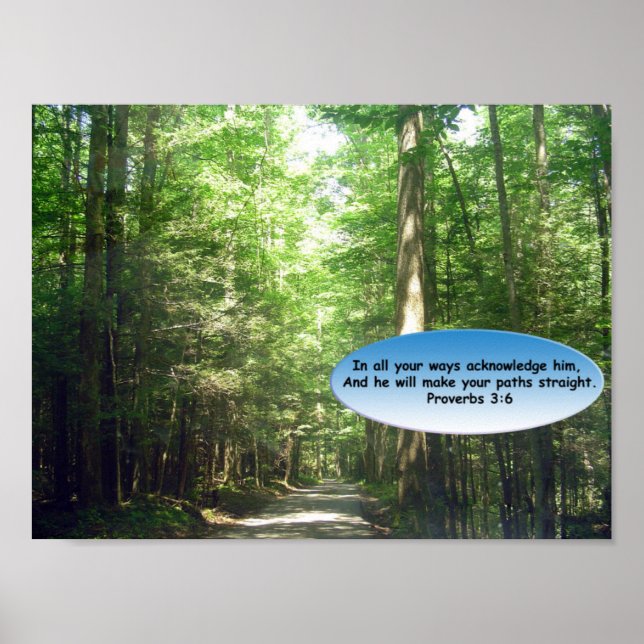 Prints & Poster: Weg durch den Wald Poster (Vorne)