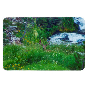 Prinz des Waldes Magnet