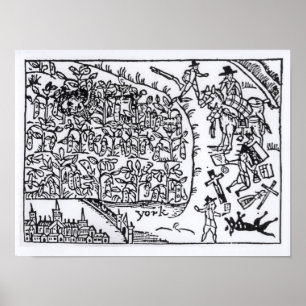 Prinz Rupert Hiding in einer Bohne Poster