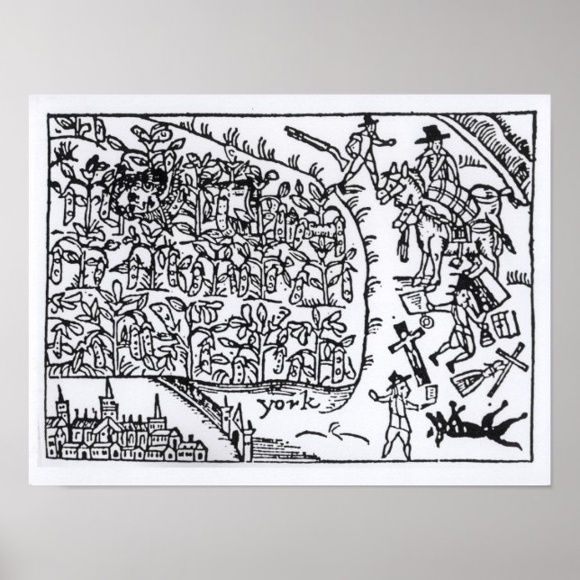 Prinz Rupert Verstecken in einer Bean Poster (Vorne)