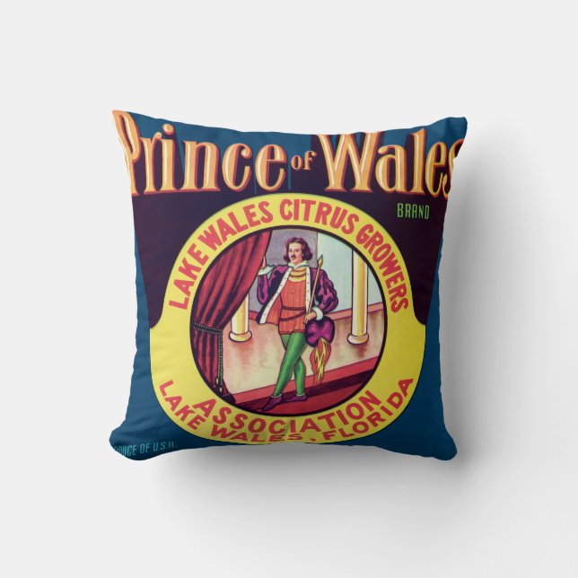 Prinz von Zitrusfrucht Wales See-Wales Florida Kissen (Vorderseite)