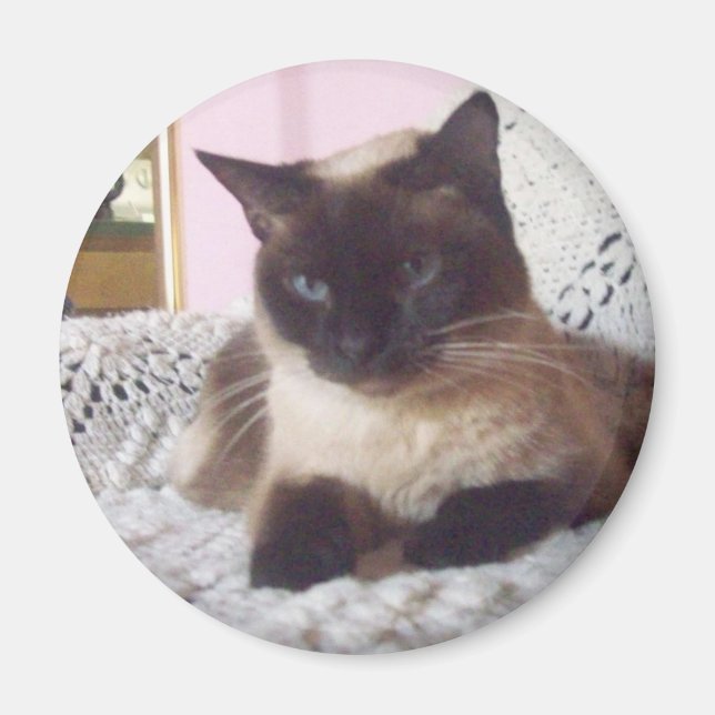 Prinzessin auf dem Sofa Magnet (Vorne)