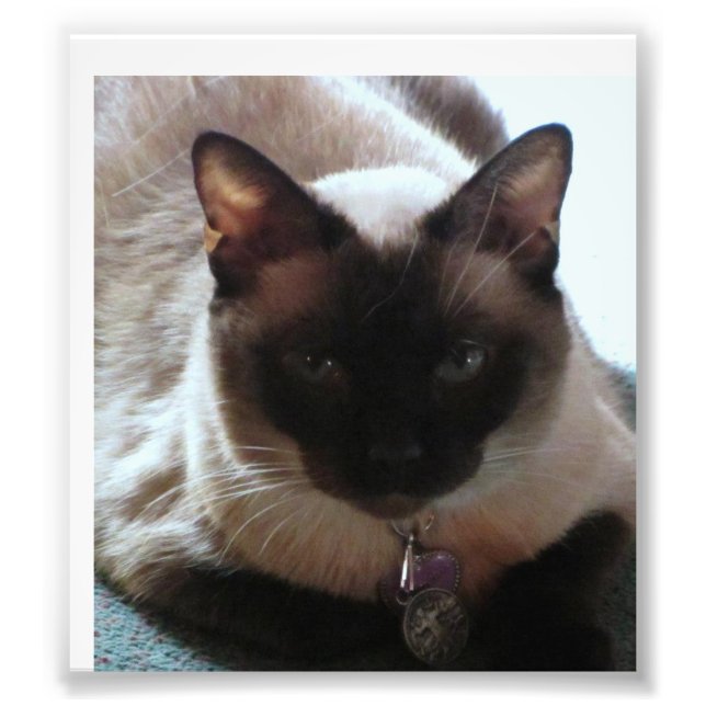 Prinzessin Fotodruck (Vorne)