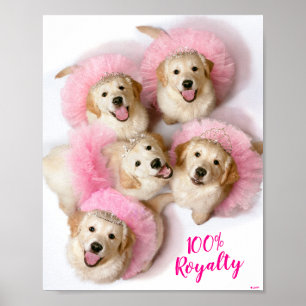 Prinzessin Hunde in Tiaras Poster