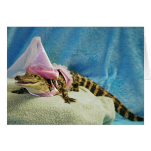 Prinzessin Penny Cards