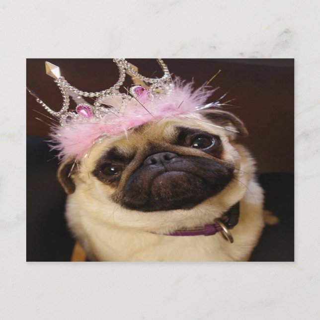 Prinzessin Pug Postkarte (Vorderseite)