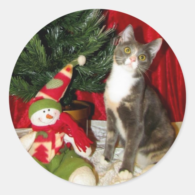 Prinzessin Tianas Weihnachtsbaum - Katze / Kitten Runder Aufkleber (Vorderseite)