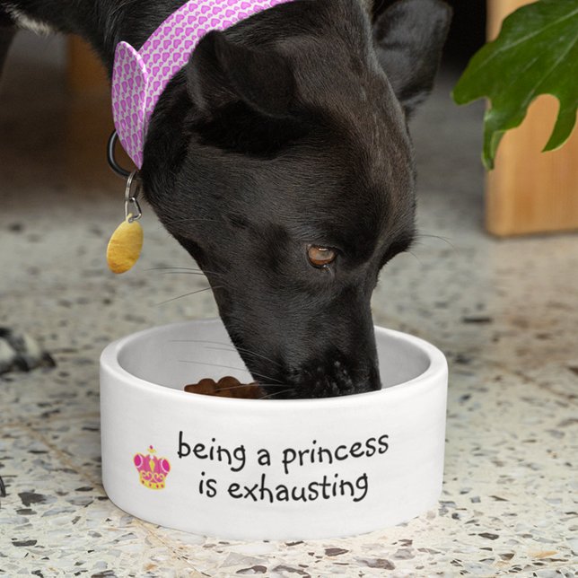 Prinzessin zu sein ist das Ausscheiden von Hunden  Napf (Von Creator hochgeladen)