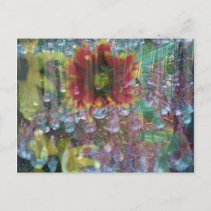 Prisme-Blume Postkarte