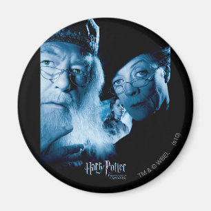 Prisoner of Azkaban - Spanish 1 Magnet