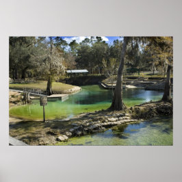 Pristatischer Frühling im Winter Print Poster