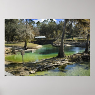 Pristatischer Frühling im Winter Print Poster