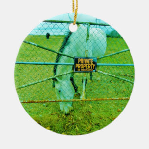 Private Property, Horse Keramikornament
