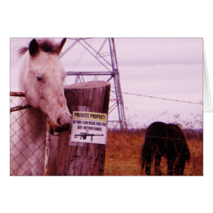 Private Property Lavendel