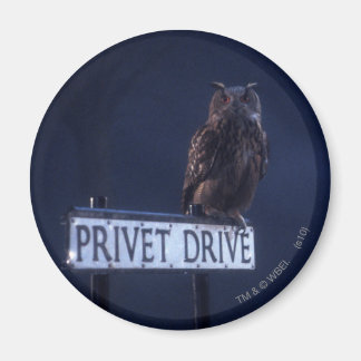 Privates Laufwerk Magnet