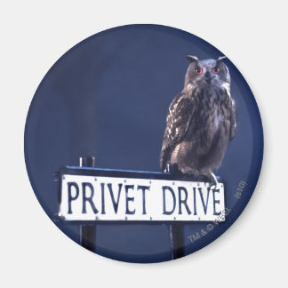 Privates Laufwerk Magnet