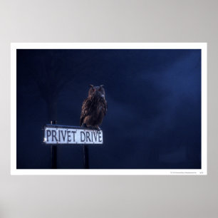 Privates Laufwerk Poster