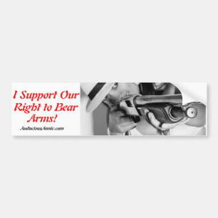 PRO2a Bumber Aufkleber Autoaufkleber