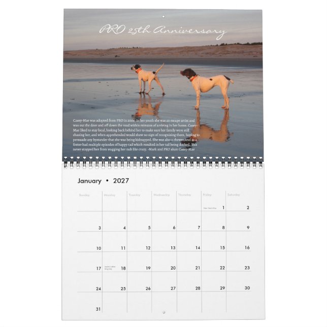 PRO 2025 - 25. Jahrestag Kalender (Jan 2027)