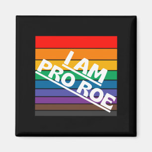 pro 6 magnet