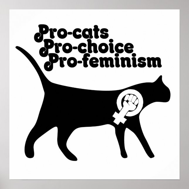 Pro Cats pro Choice pro Feminismus Poster (Vorne)
