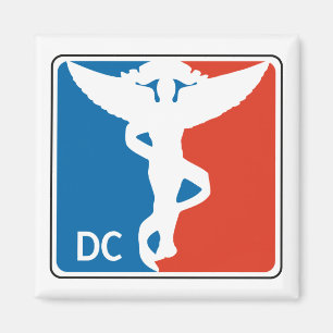 Pro Chiropraktor Magnet