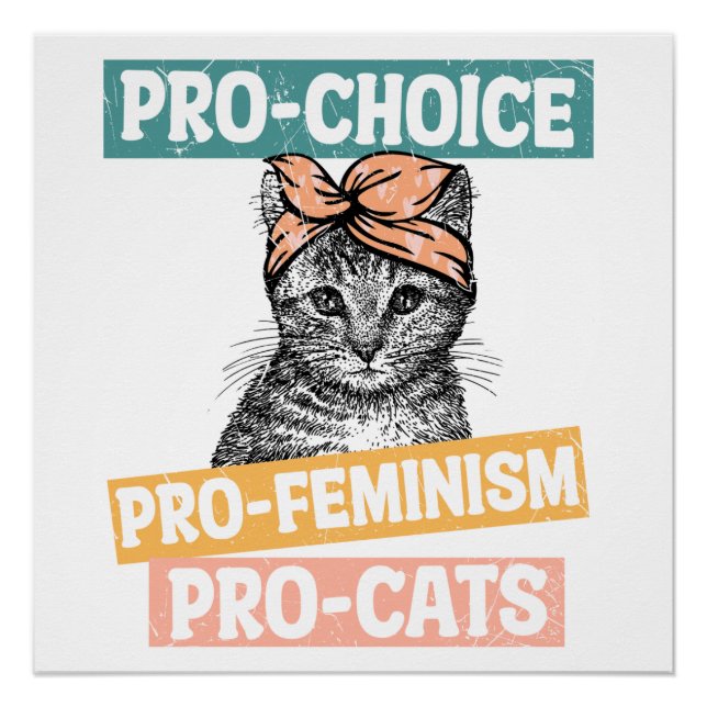 Pro Choice Pro Feminism Pro Cats Poster (Vorderseite)