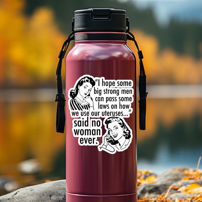 Pro Choice Spaß Retro Politischer Cartoon Feminist Aufkleber (Von Creator hochgeladen)