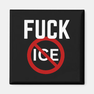 Pro Einwanderer Anti Ice Anti Diskriminierung Anti Magnet