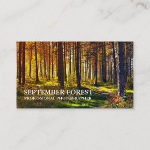 Pro Fotografie (Wald) Visitenkarte