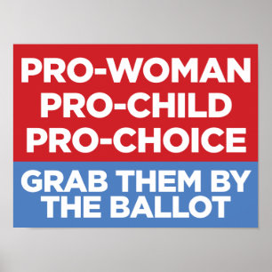 Pro-Frau Pro-Child Pro-Choice 16x12 Window Poster