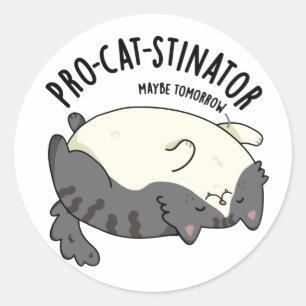 Pro-Katzenstinator Funny Fat Cat Pun Runder Aufkleber