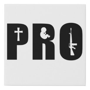 Pro Life God Gun Conservative Christlich Faith Künstlicher Leinwanddruck