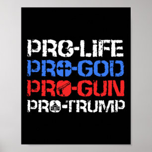Pro-Life Pro-Gott Pro-Waffe Pro-Trump Poster