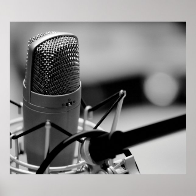 PRO MICROPHONE POSTER (Vorne)
