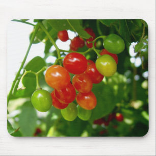 Probieren Sie die Berries Mousepad