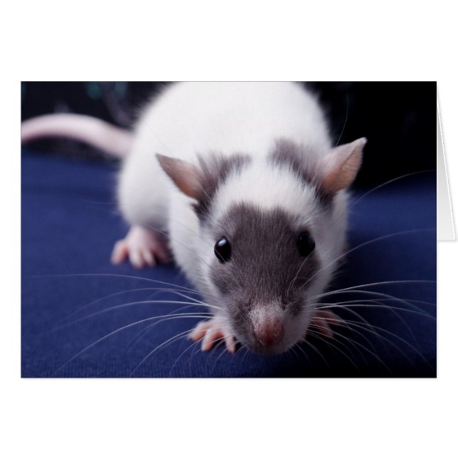 Problem-Karte (Vorderseite (Horizontal))