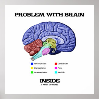 Problem mit dem Gehirn im Inneren (Gehirnanatomie) Poster