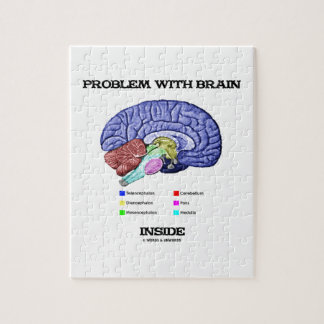 Problem mit Gehirn-Innere (Gehirn-Anatomie) Puzzle