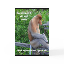 Proboscis Monkey - Happy Birthday