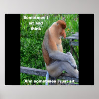 Proboscis Monkey - Manchmal sitze ich und denke