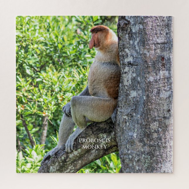 Proboscis Monkey Puzzle (Vertikal)