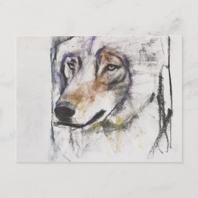 Processo Al Lupo Postkarte (Vorderseite)