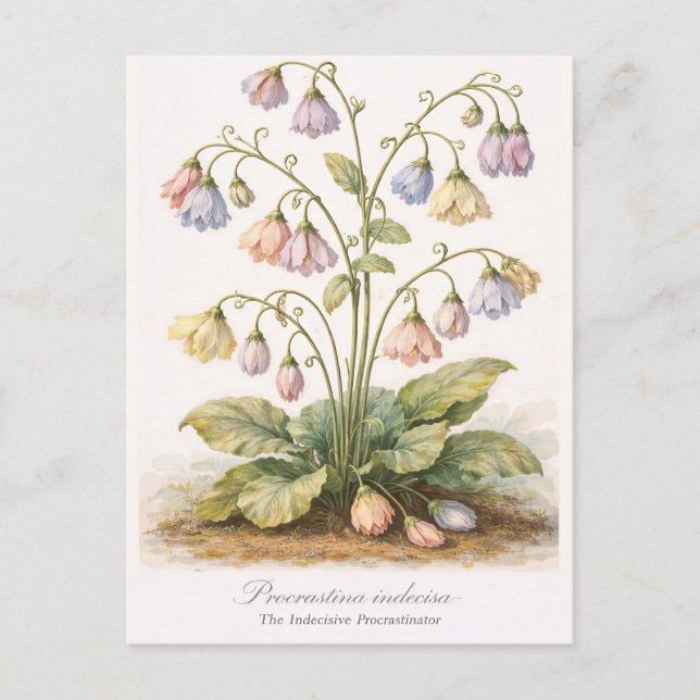 Procrastina indecisa Der unentschlossene Zauderer Postkarte (Vorderseite)