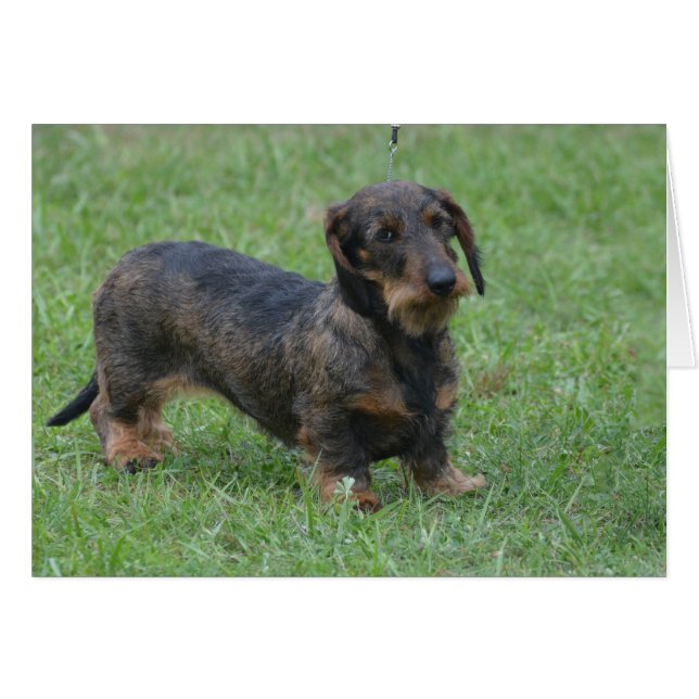 Produkt anpassen (Vorderseite (Horizontal))