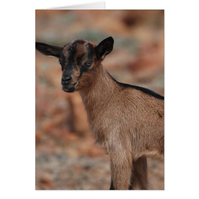 Produkt anpassen (Vorne)