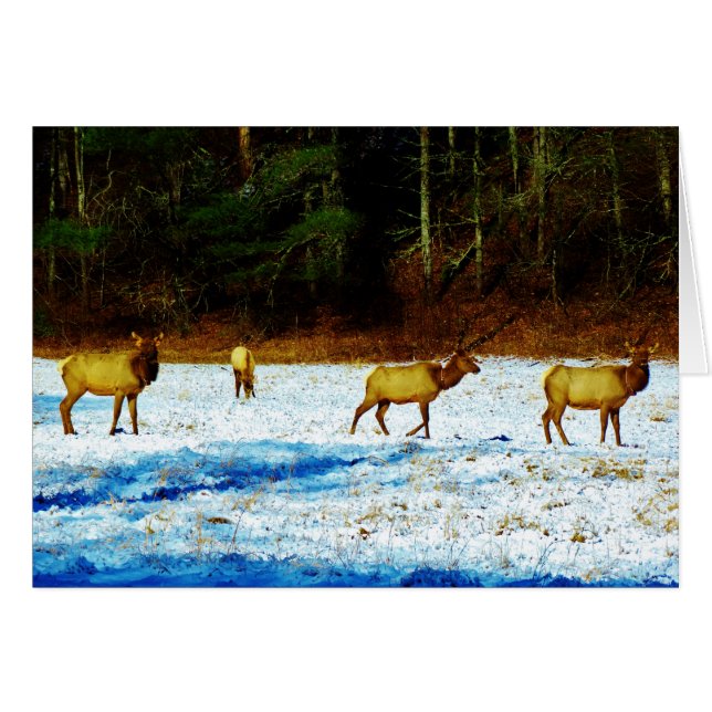 Produkt anpassen (Vorderseite (Horizontal))